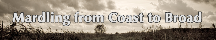 Mardling from Coast to Broad